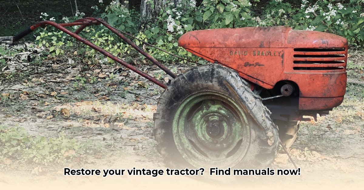 david-bradley-2-wheel-tractor